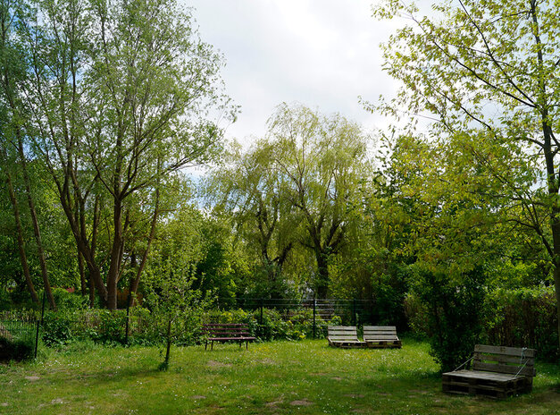 Galeriebild