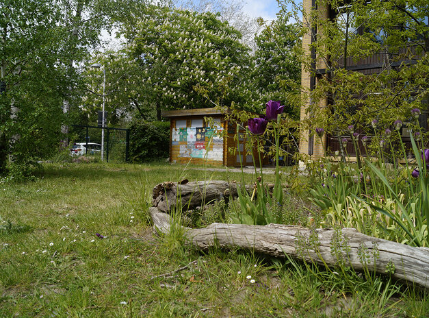 Galeriebild